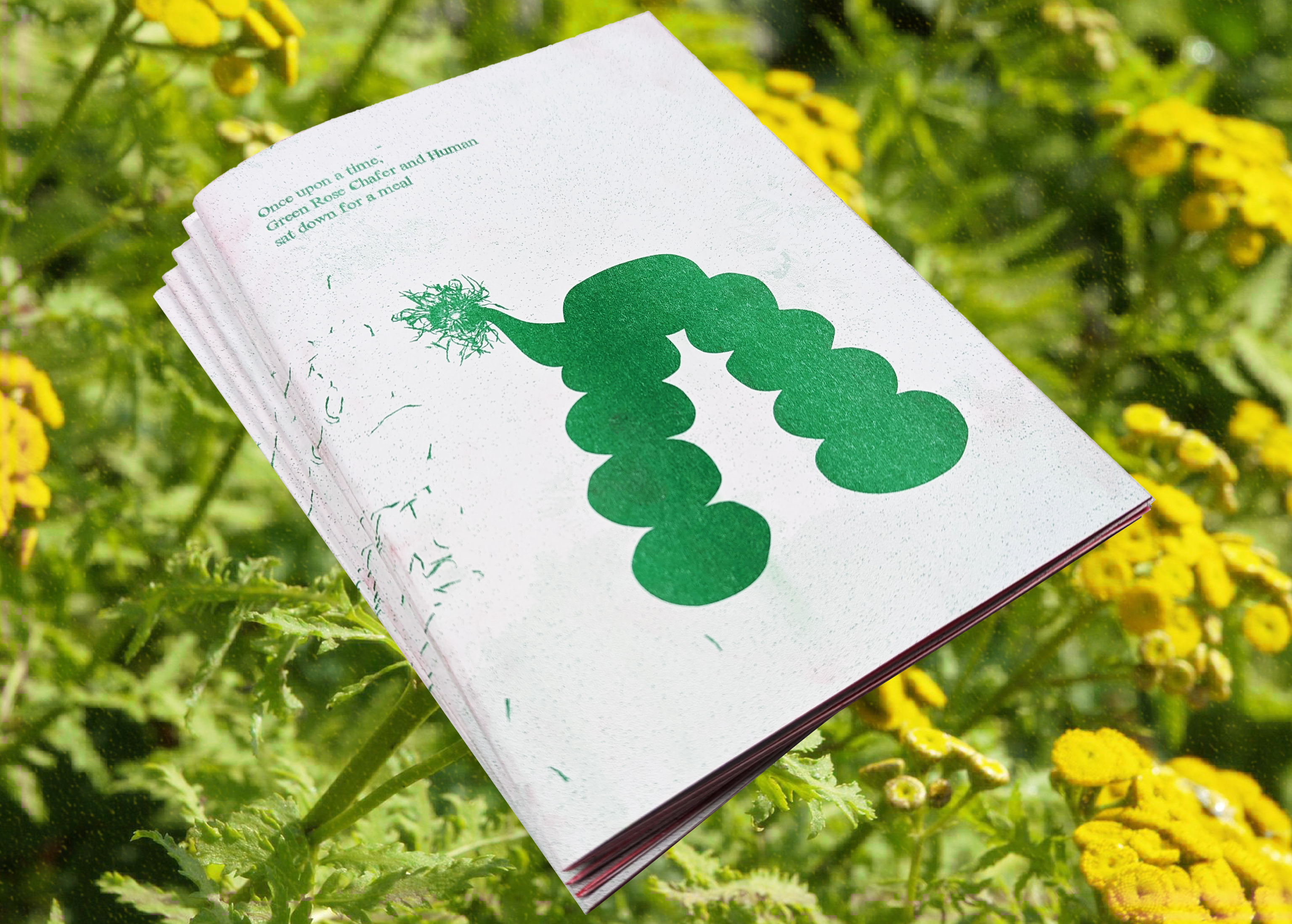 Riso printed zines about the Green Rose Chafer featureing Recipies for shared meals.